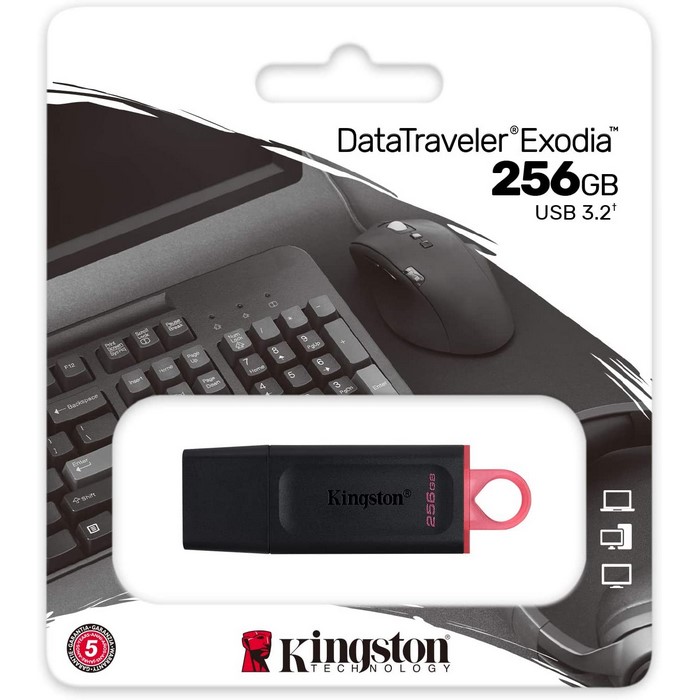 PENDRIVE 256GB (KINGSTON)